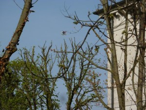 P1100741
