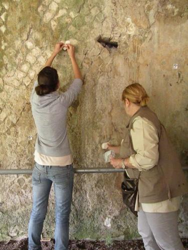 DSCN7835 (450 x 600)